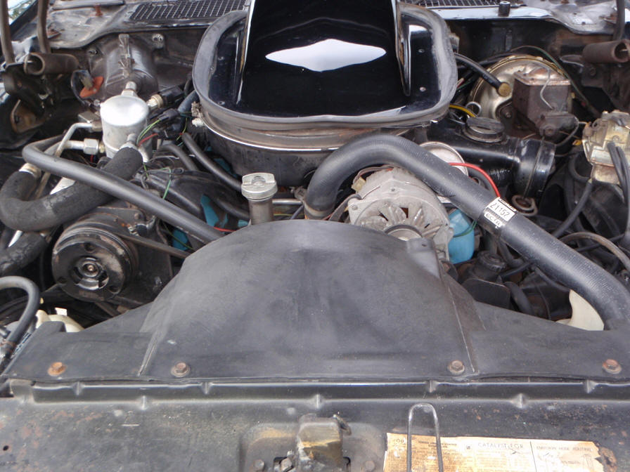 1979 trans am